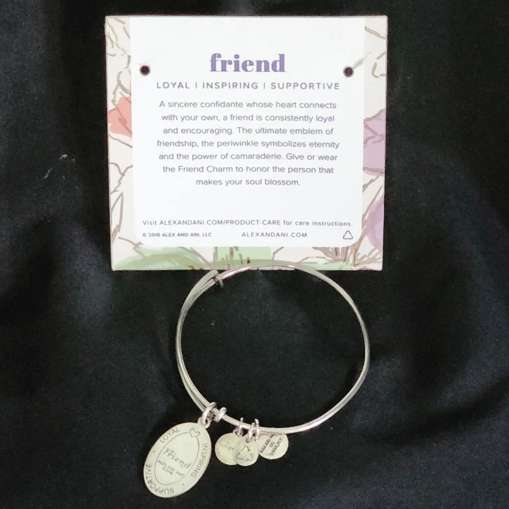 Alex and Ani Because I Love You Friend II Periwinkle Charm 2016 Silver Bangle
